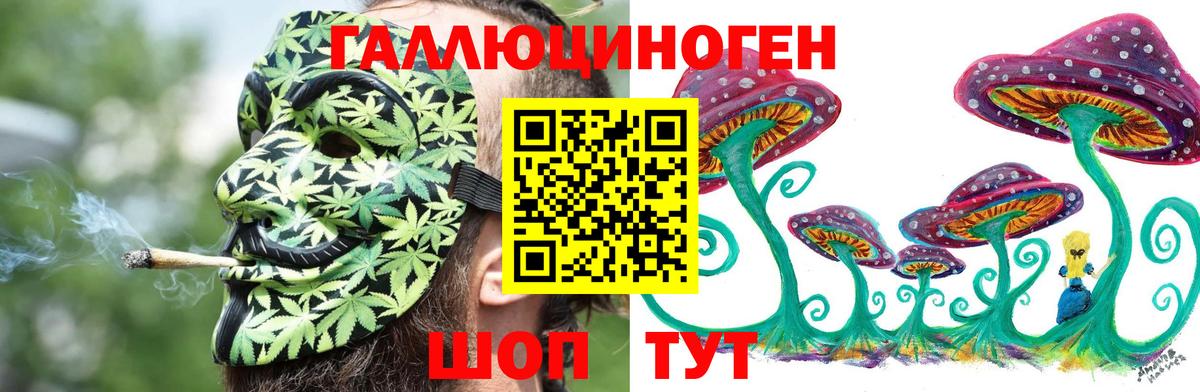 Псилоцибиновые грибы Cubensis Советск